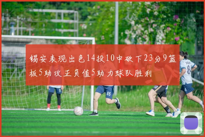 锡安表现出色14投10中砍下23分9篮板5助攻正负值5助力球队胜利